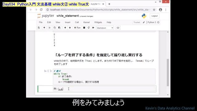 [Python入門] while文② while True文 文法基礎｜初心者向け смотреть онлайн