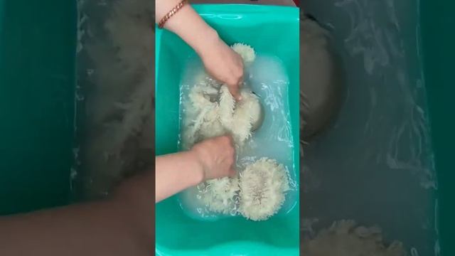 Отстирать мягкую игрушку смотреть онлайн