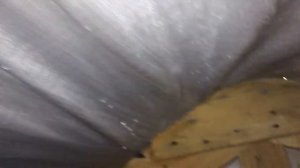 Конденсат в холодном треугольнике. На крыше