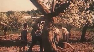 Педагогическая поэма 1955