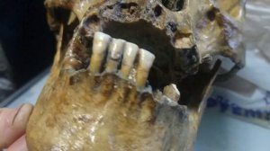 Снежный человек существует?