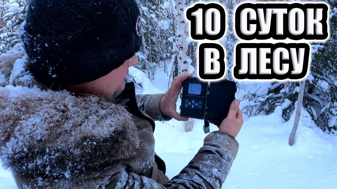 Тайга варяг 550 Polaris Widetrak LX ТАЕЖНЫЕ ПРИКЛЮЧЕНИЯ смотреть онлайн