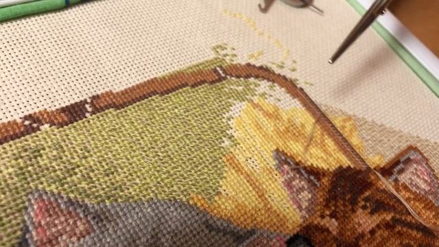 Полукрест в вышивке/мой опыт/half-cross stitch смотреть онлайн