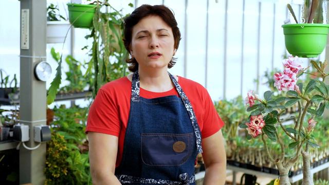 Блокировка YouTube Канала AdeniumHIT