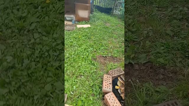 специальный выпуск в деревне