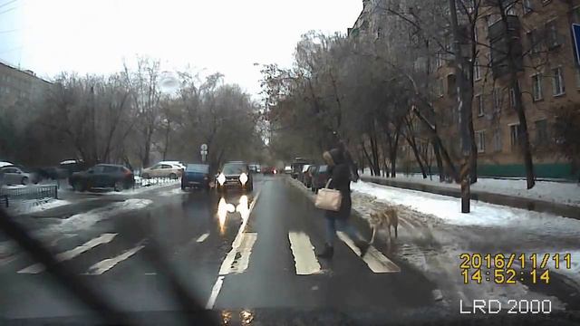 Дерево упало смотреть онлайн