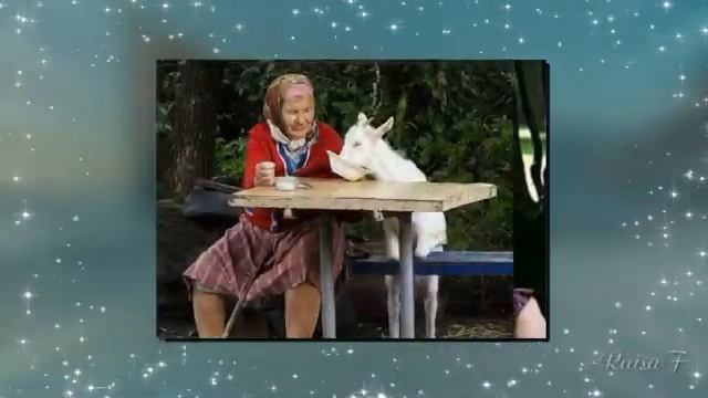 Бабушки старушки.mp4