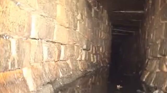 Crawlers: The Worlds Strangest Cryptid смотреть онлайн