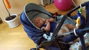 Обзор коляски 2 в 1 Tutis Zippy  Тутис Зиппи лучший выбор для малыша