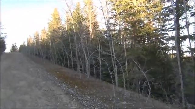 Канадские отшельники. Часть 298. Зайцы, зайцы и отрада. смотреть онлайн