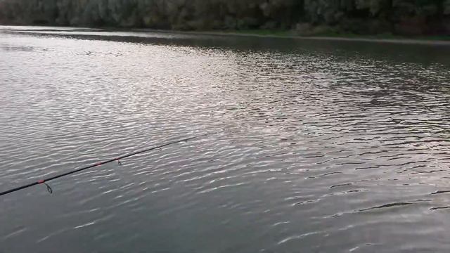 места обитания окуня смотреть онлайн