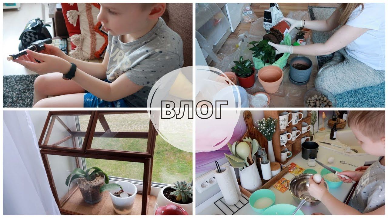 ВЛОГ: готовим с ребенком / пересаживаю растения / доделываю мини теплицу смотреть онлайн