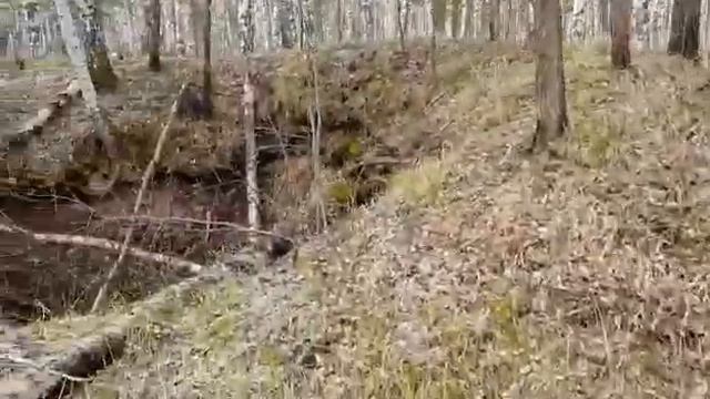 Странное сооружение в Тисульском районе смотреть онлайн