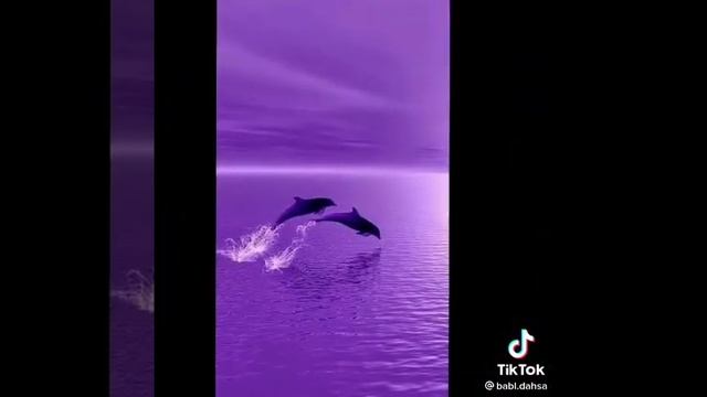 Любители фиолетового сюды,мой любимый цвет фиолетовый а твой? смотреть онлайн