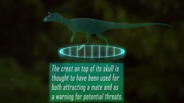 Dinosaur Facts | Cryolophosaurus The Cold Killer смотреть онлайн