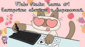 Программа VTube Studio #1_ Основные настройки 2D-аватара. Эмоции, выражения. Вступительный гайд.
