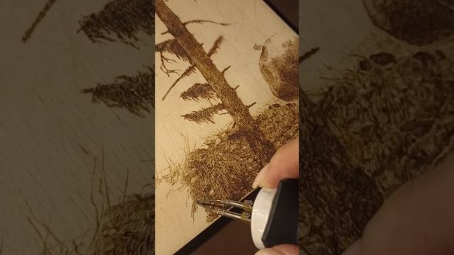 Выжигание пейзажа "Шумный ручей в горах". Часть 1. Почва переднего плана. смотреть онлайн