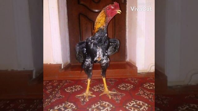 10 февраля 2021 г. смотреть онлайн