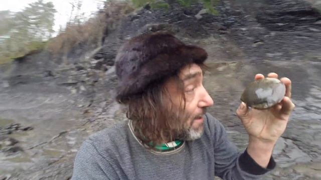 Prehistoric Flying Saucer Found Comox Valley Canada смотреть онлайн