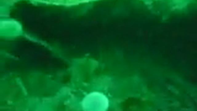 f25 смотреть онлайн