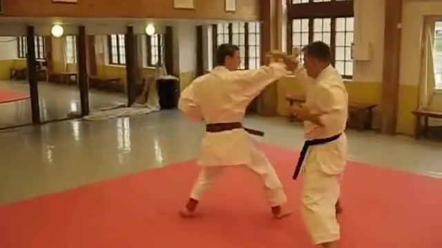 KARATE - Tiger Karate - Shotokan And Mix Of Martial Arts