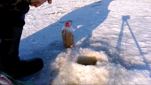 Глухозимье- это миф? смотреть онлайн