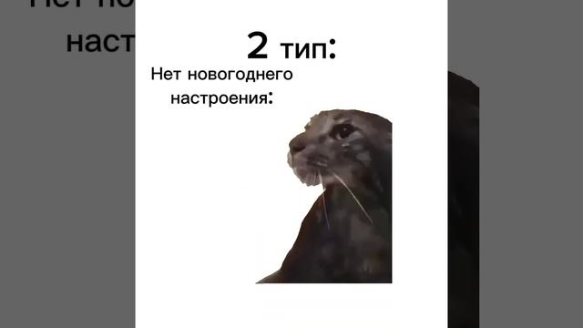 А какой тип вы? #котики #новыйгод #2024 смотреть онлайн