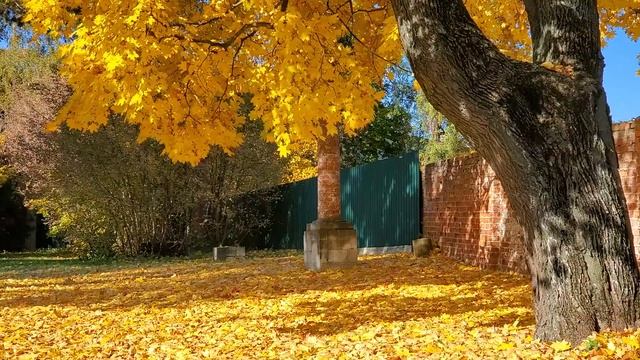 2021.10.12 Осень. Николо-Угрешский монастырь смотреть онлайн