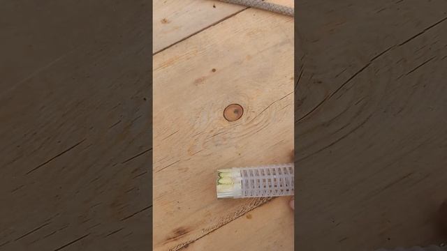 Маточный изолятор из бигуди смотреть онлайн
