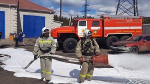 пожарная жизнь гпс 600