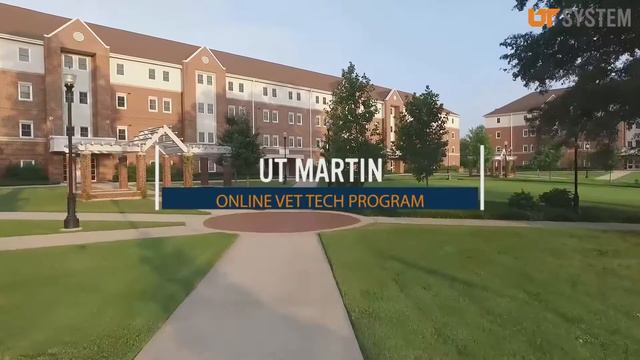 Educate смотреть онлайн