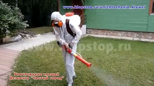Уничтожение клещей, акарицидная обработка. смотреть онлайн
