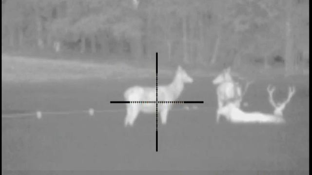 Pulsar Apex XD50 смотреть онлайн