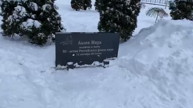 Прогулка по Смоленску/ Аллея памяти. Аллея мира. Нашли Новый год