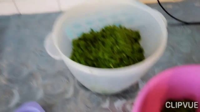 Раньше. ВЫБРАСЫВАЛА. СЕЙЧАС  хоть  ПОКУПАЙ!