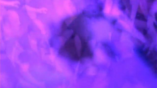 Созвездие Гончих Псов_Репетиция смотреть онлайн