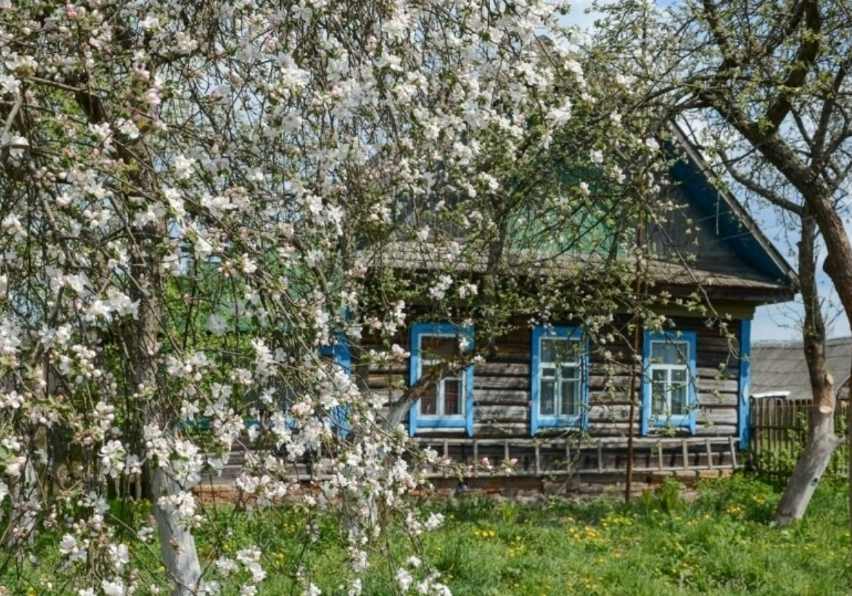 Саша Петров "Дом и сад, где тишина рисует..." смотреть онлайн