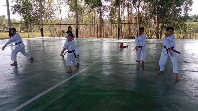 Basaai dai shotokan Training kata смотреть онлайн