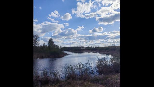 10452931 смотреть онлайн