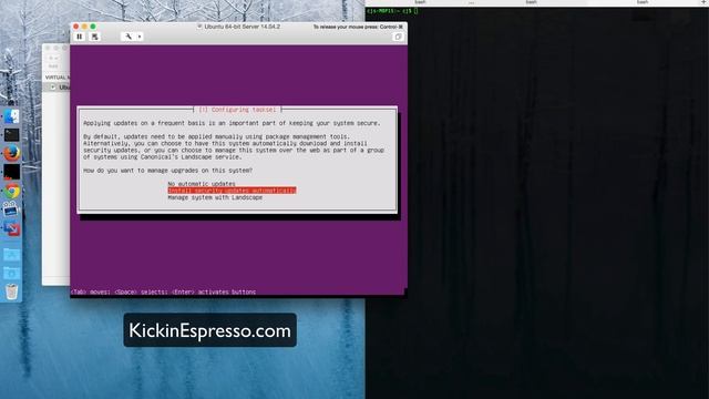 Ubuntu Server 14.04: Installing the server смотреть онлайн