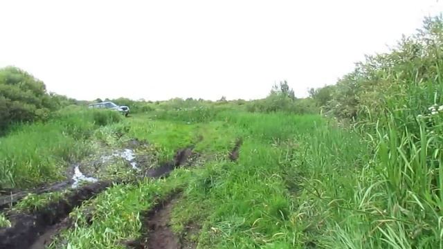 Профессор жгёт смотреть онлайн