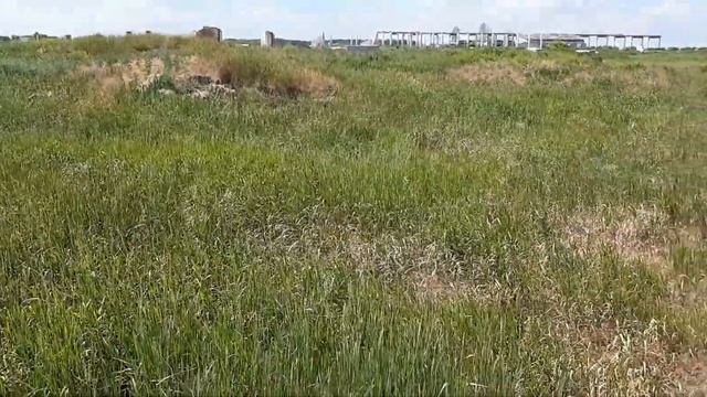 #МЕТАЛЛОКОП ЦЕНА ВОССТАНОВИЛАСь смотреть онлайн