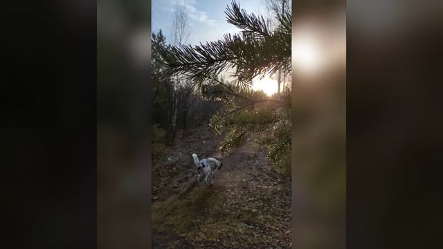 Весна идёт, весне дорогу.