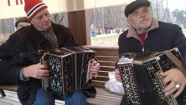 11.11.23г.Кузьминский парк смотреть онлайн