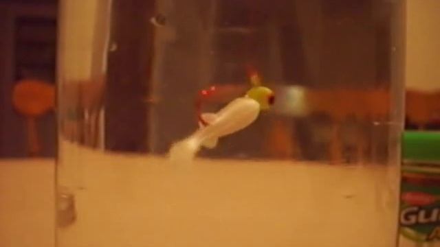 Panfishing Lure Pre-Reviews смотреть онлайн