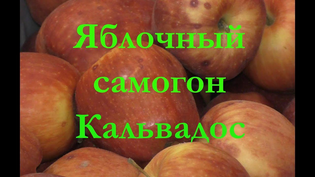 Кальвадос или яблочный дистиллят своими руками. Ставим брагу. Первая и вторая перегонка LUXSTAHL 5. смотреть онлайн