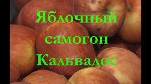 Кальвадос или яблочный дистиллят своими руками. Ставим брагу. Первая и вторая перегонка LUXSTAHL 5.
