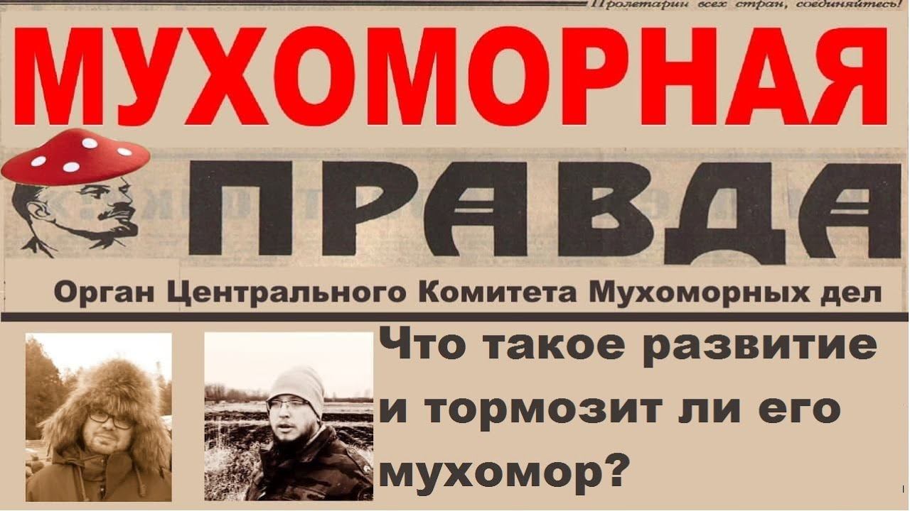 Мухоморная Правда #5 смотреть онлайн