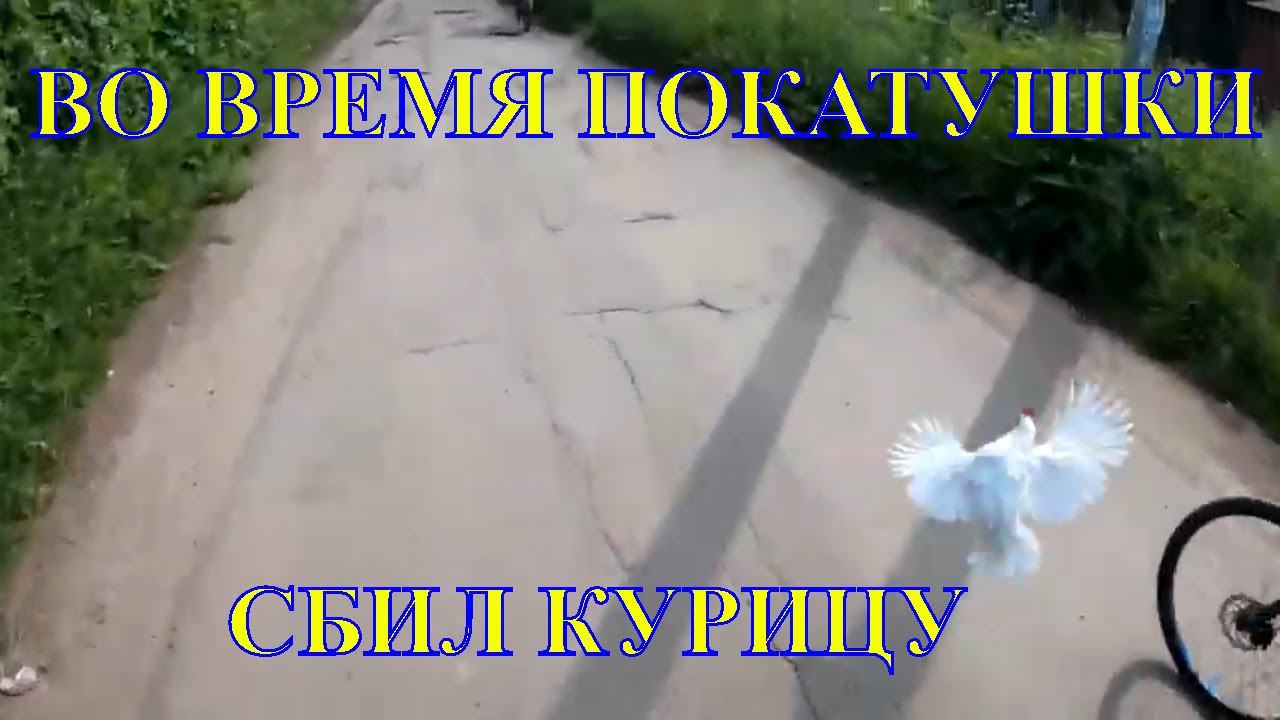 СБИЛ КУРИЦУ во время ВЕЛОПОКАТУШКИ смотреть онлайн