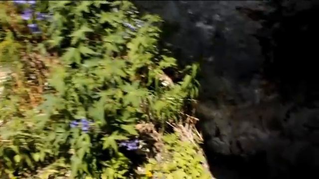 Красноярское водохранилище, Бирюсинский залив (Krasnoyarsk Sea) смотреть онлайн